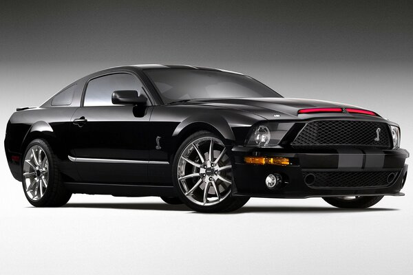 Black brutal mustang cobra