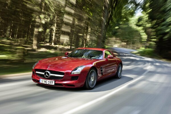 Roter Mercedes amg mit Geschwindigkeit im Wald