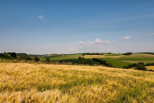 Summer landscape of charming nature