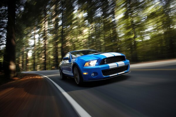 Photo Mustang Shelby gt500 à la vitesse sur la route dans la forêt