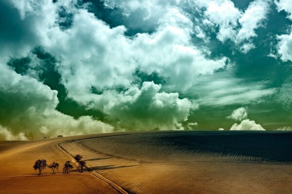 Desert with trees on a background of white clouds