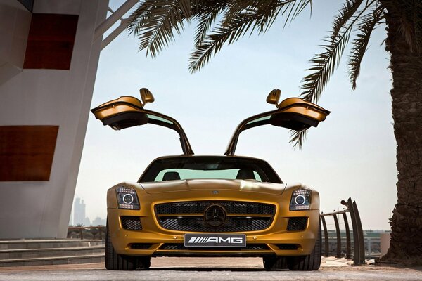 Golden mercedes benz sls amg on the background of desert, palm trees, steps