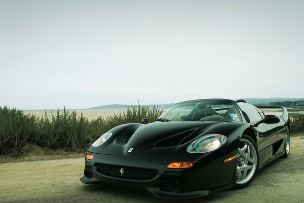 Hermosa foto de un Ferrari negro en la carretera