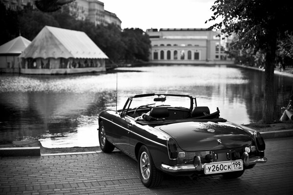 Black and white photo of a car near water near a tree