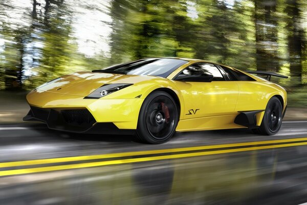 Gelber Lamborghini in Bewegung auf der Strecke entlang des Waldes