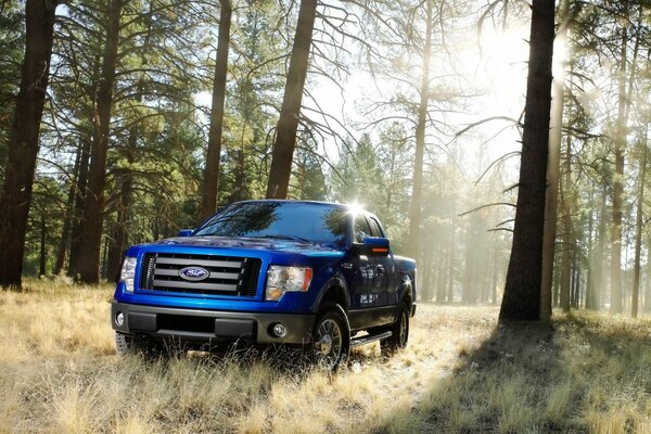 Ford pickup truck blue in the woods