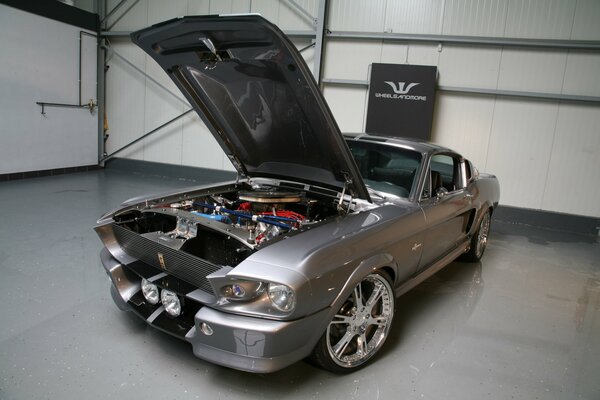 Ford Shelby is in the garage with the hood open