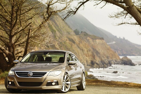 Brown Volkswagen on the background of trees and mountains