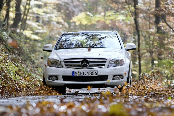 Mercedes-Denz C350 en carretera con follaje