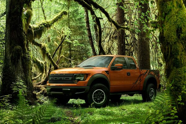 Orange Ford Pickup im grünen Wald