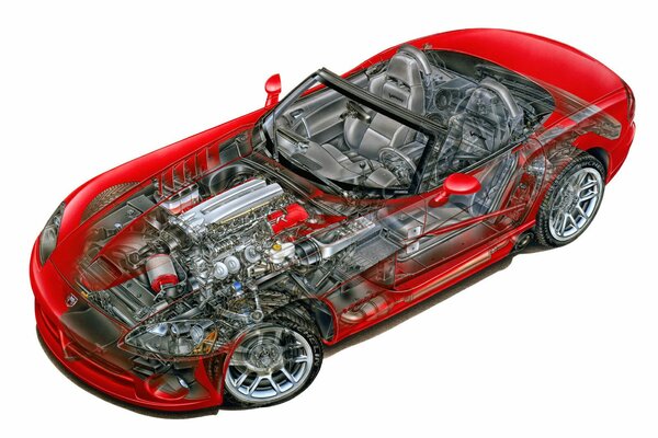 A visual diagram of the structure of the car