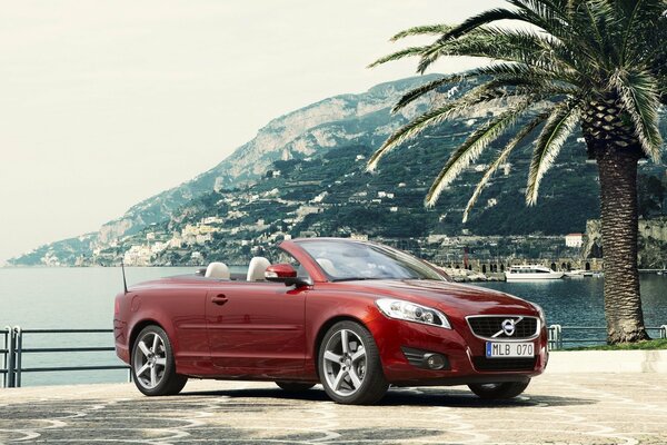 Come to the sea in a Volvo and admire the palm tree