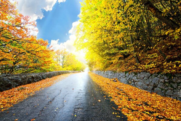 Herbstlandschaft mit Himmel und goldenen Blättern