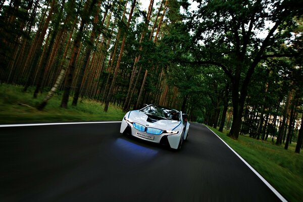 bmw white car on the highway in the woods