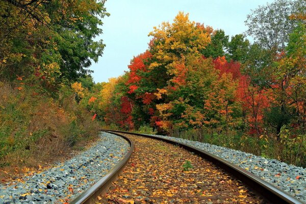 Herbstlandschaft bei der Eisenbahn