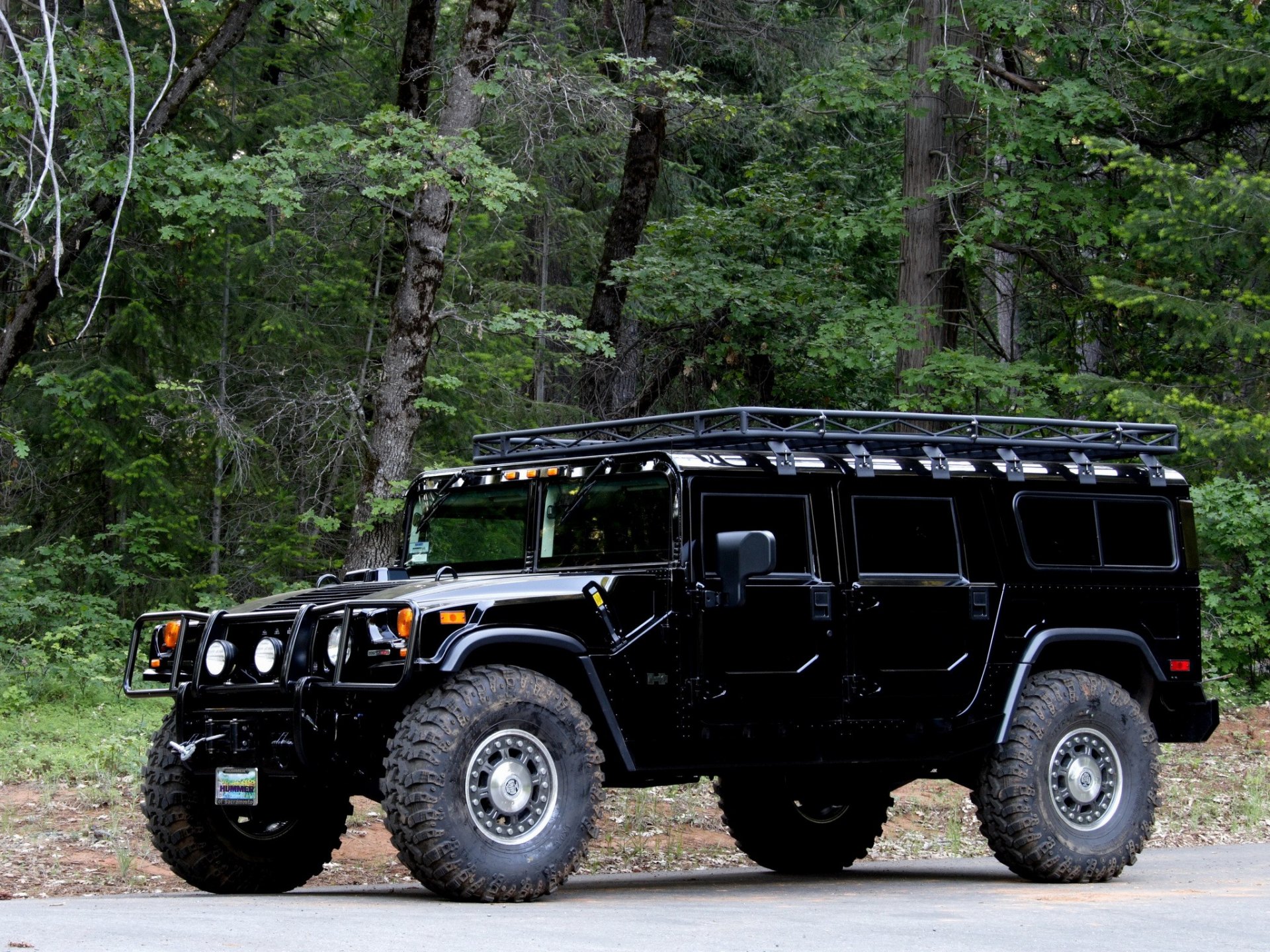 hummer negro bosque