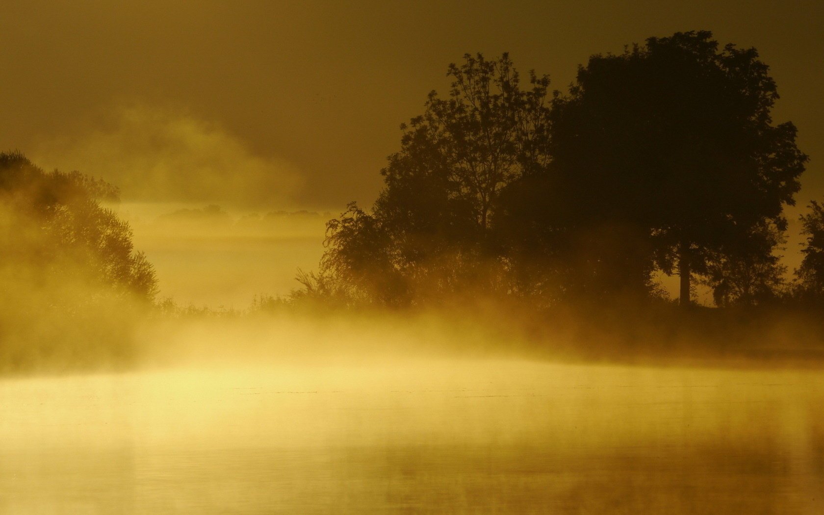 nebel sonnenuntergang see landschaft