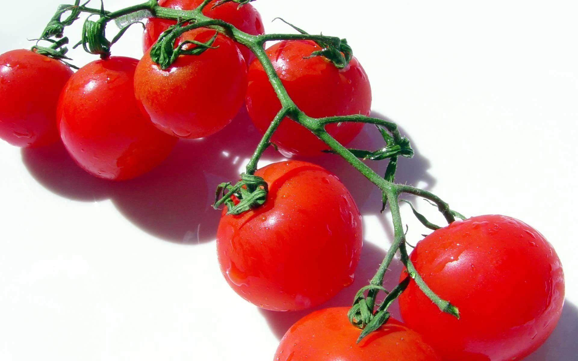 verduras tomates tomates