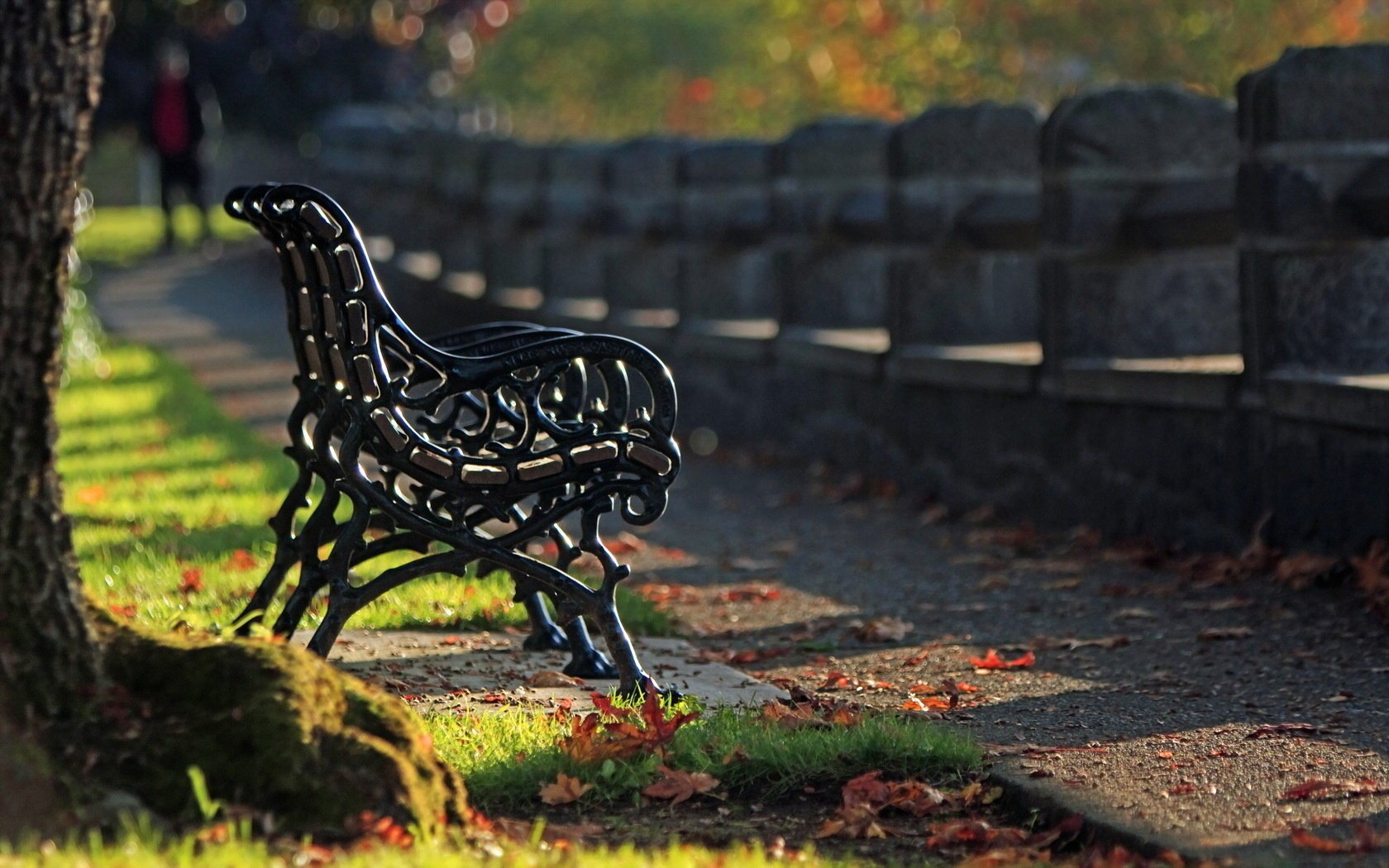 parc automne banc