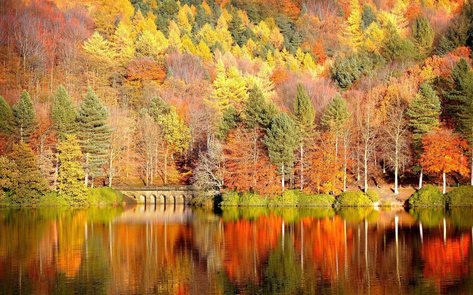 nature lac forêt