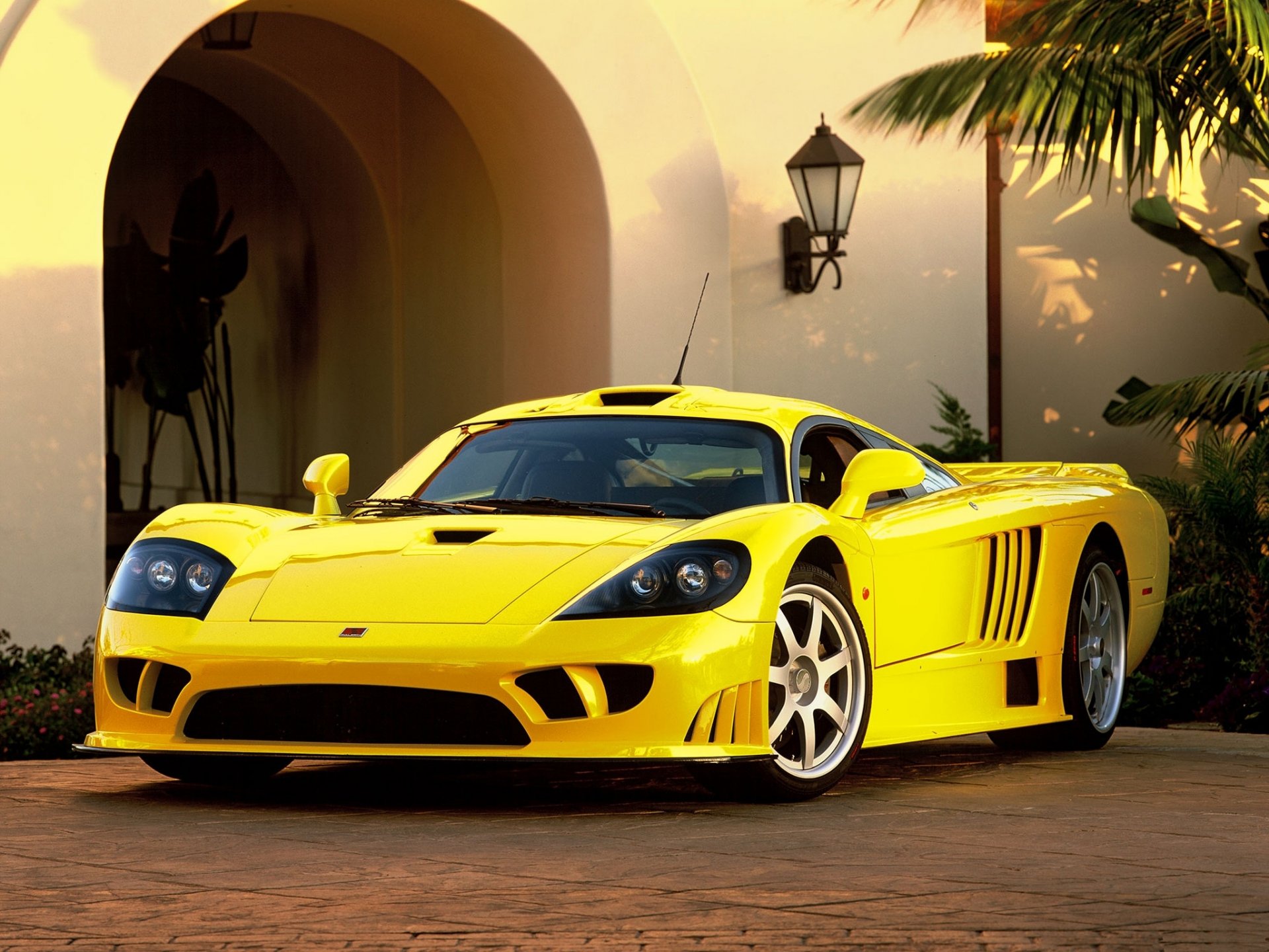 aleen giallo sport