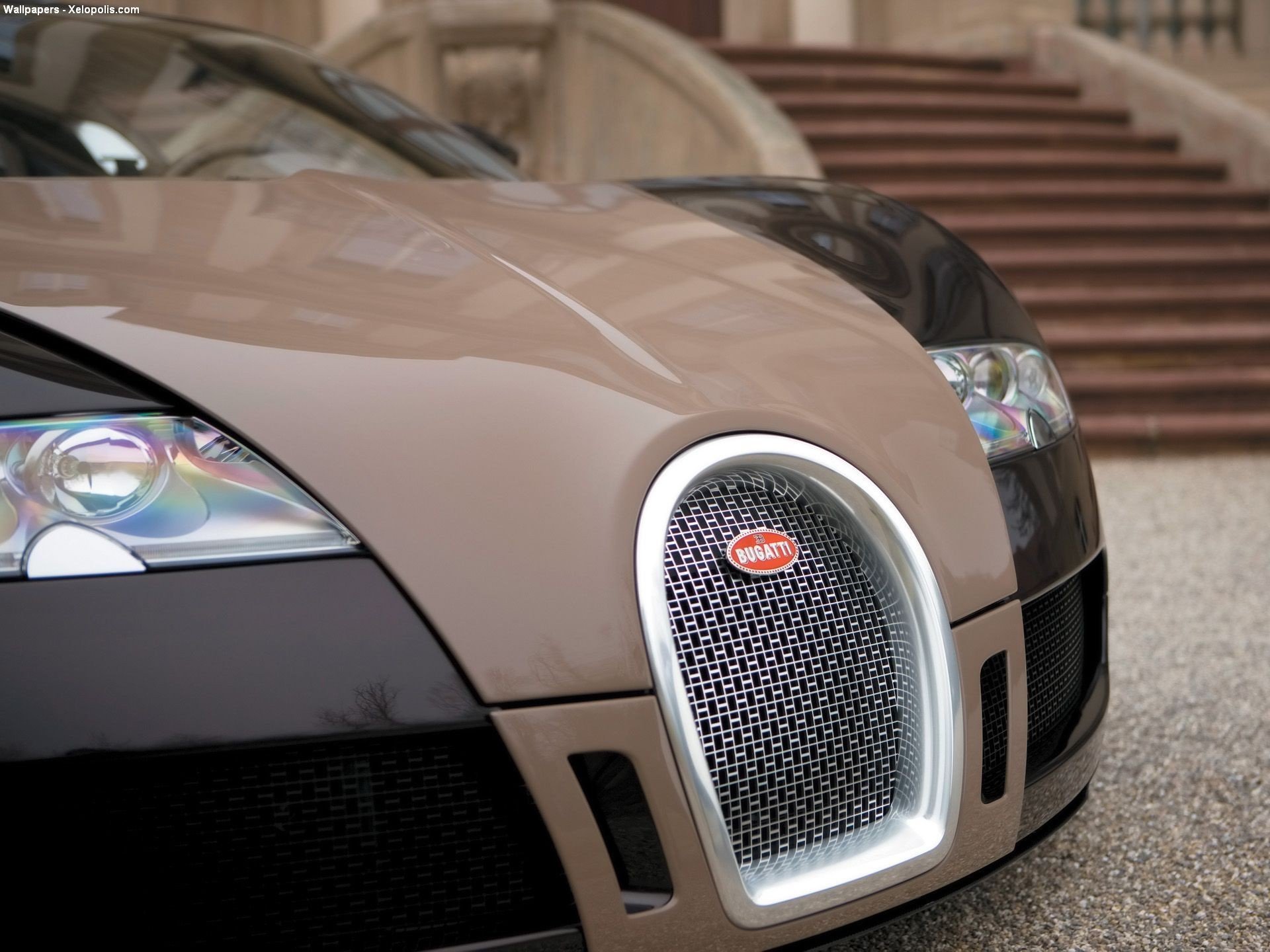 bugatti veyron malla