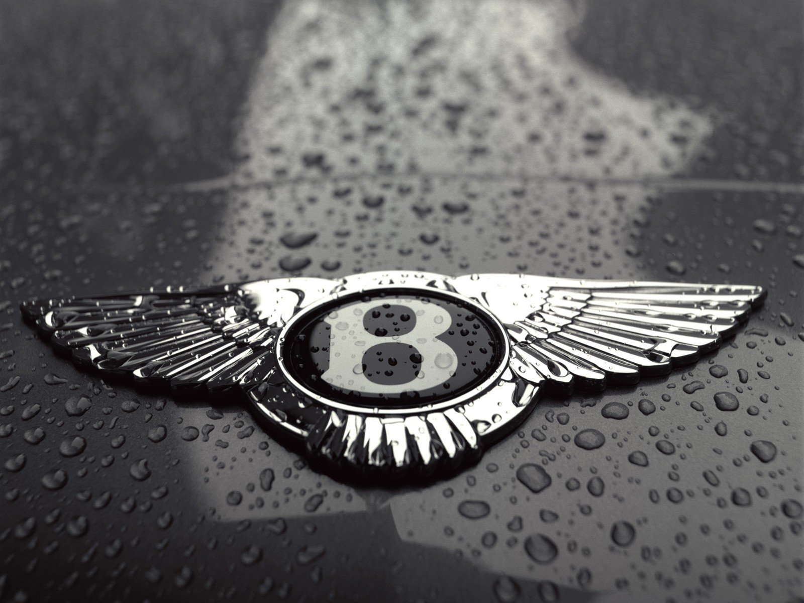 bentley logo drops black and white