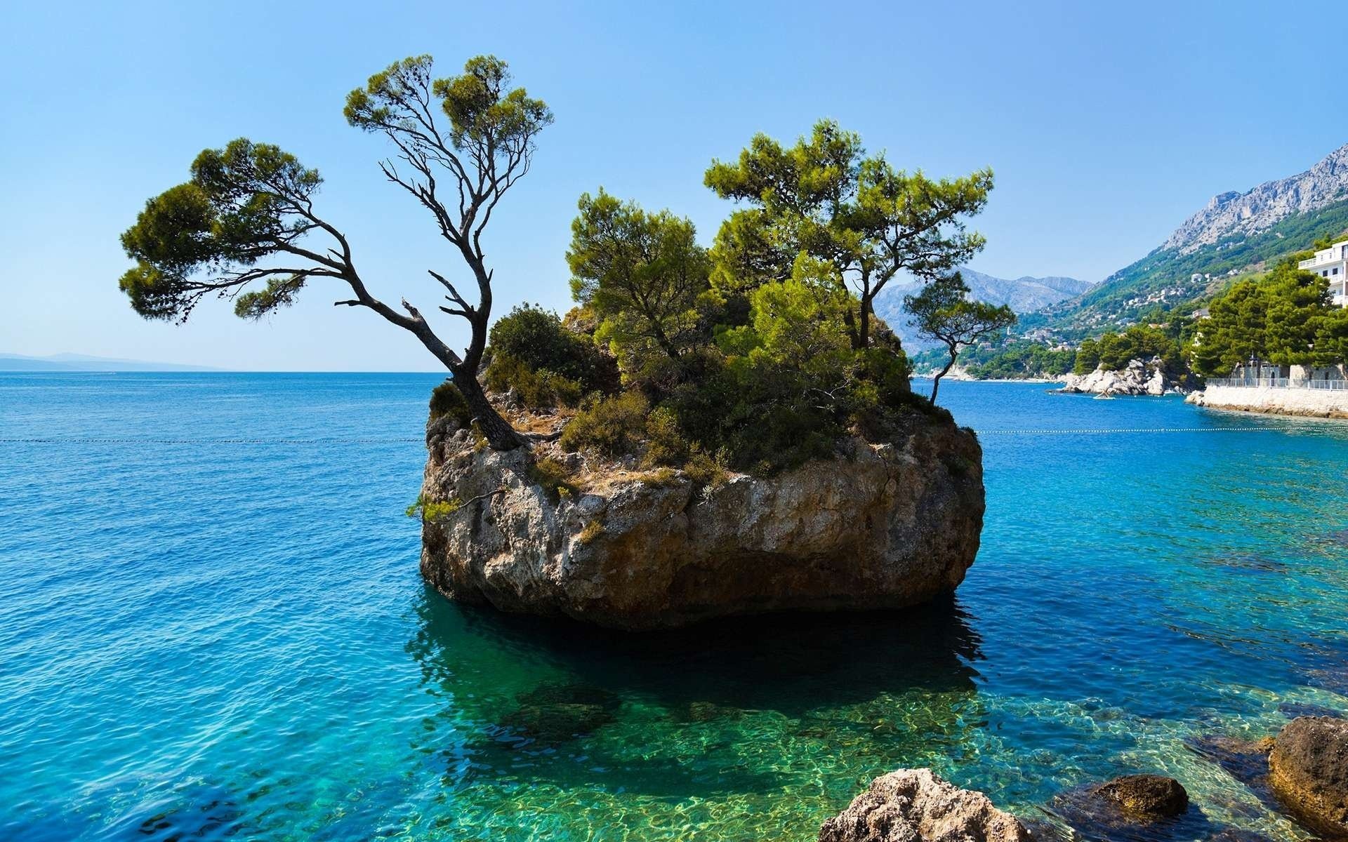 mare isola alberi