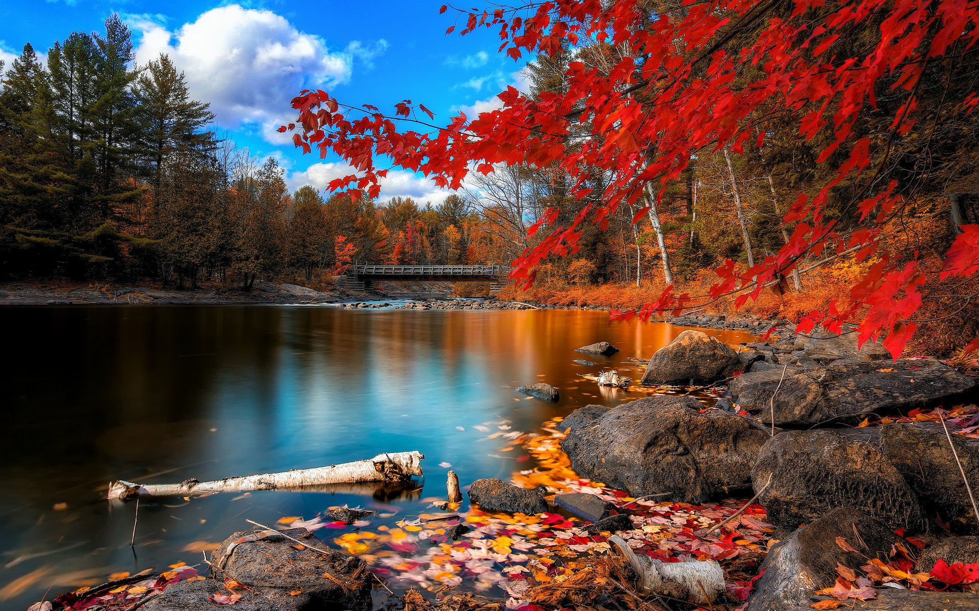 puente río piedras otoño árboles