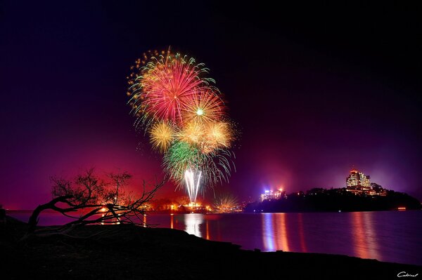 Fireworks lights on the lake shore at night