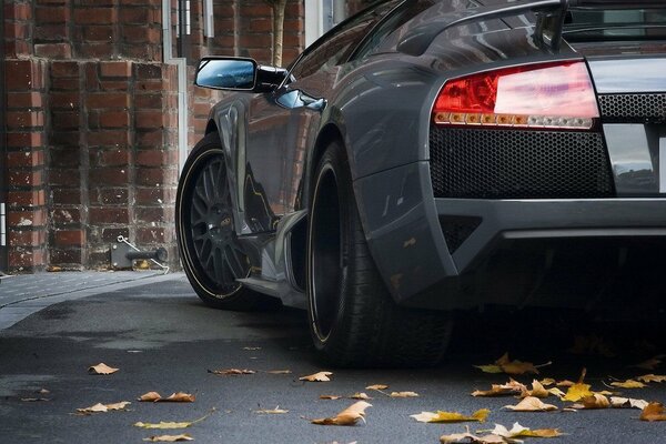 Voiture noire garée dans une rue recouverte de feuilles