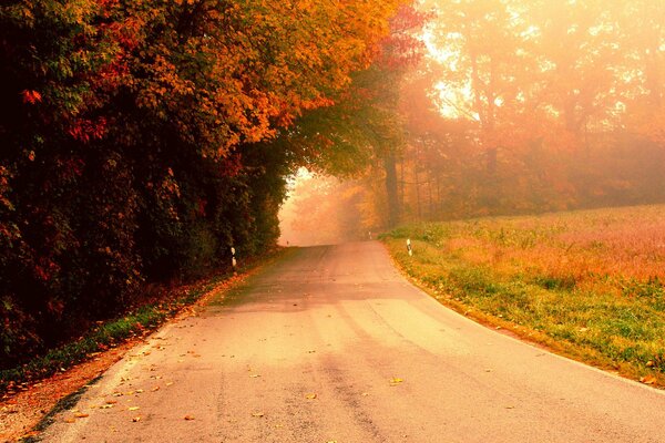 Autumn road on a foggy morning