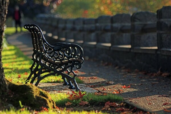 Bank umgeben von Herbstlaub im Park