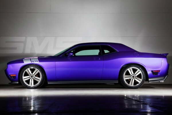 Purple car on a gray background