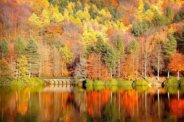 Incredibly beautiful nature: the lake is a natural mirror