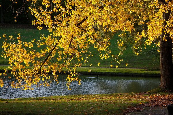 The fabulous beauty of autumn nature