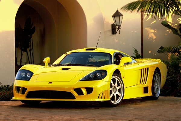 Saleen żółty Sport samochód sportowy saleen