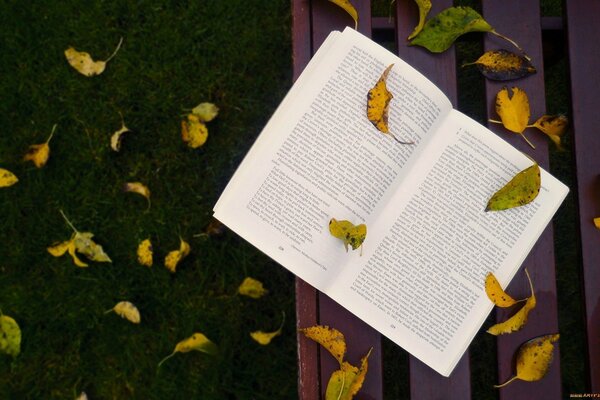 Un livre recouvert de feuilles d automne