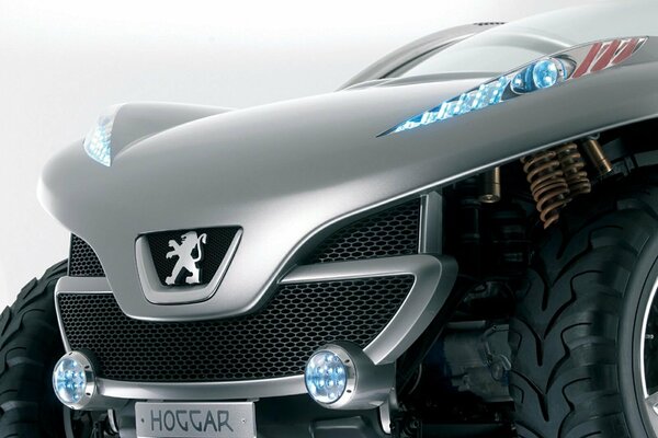 Imagen aproximada del Peugeot hogareño