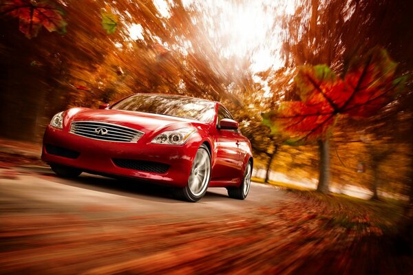 Red Infiniti in motion through the autumn forest