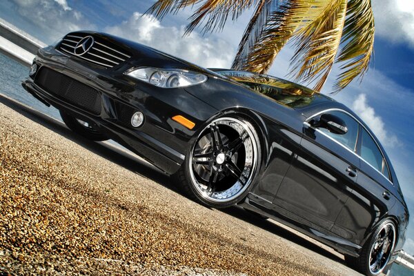 Black Mercedes on a palm tree background