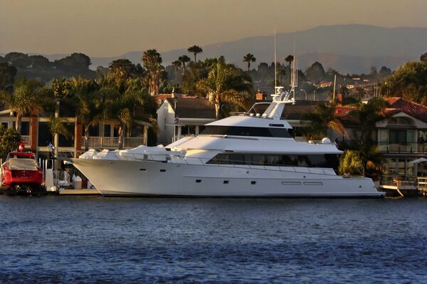 Yacht de luxe au quai parmi les palmiers