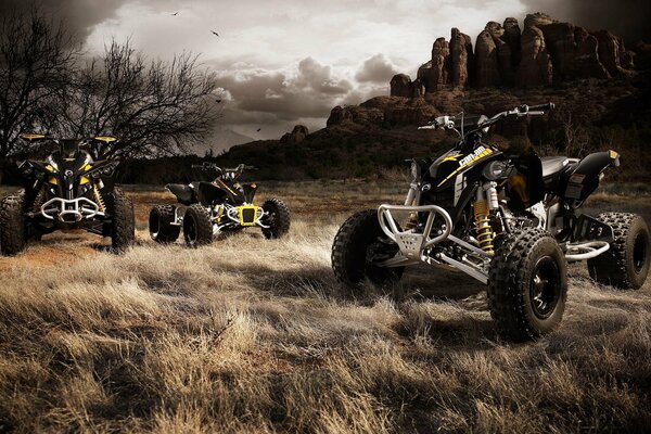 Three ATVs are standing near the rocks