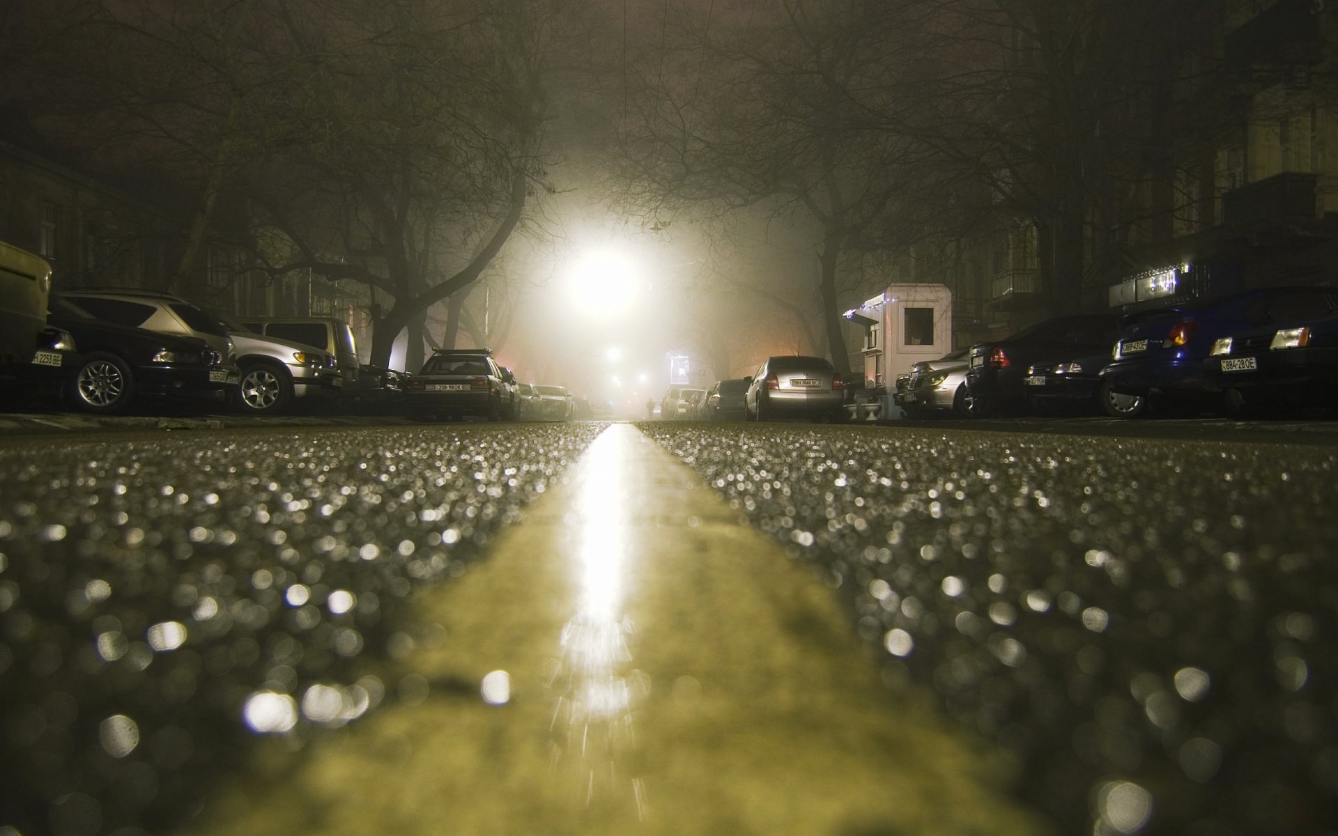 asfalto después de la lluvia noche coches casa macro