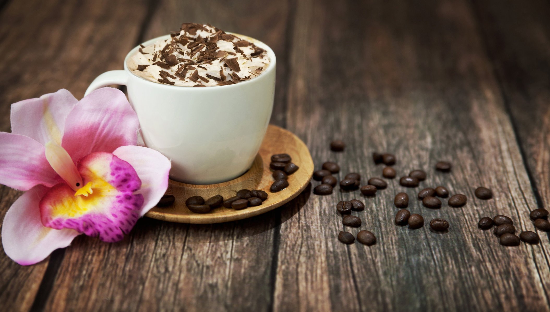 cappuccino drink coffee chocolate foam grain cup