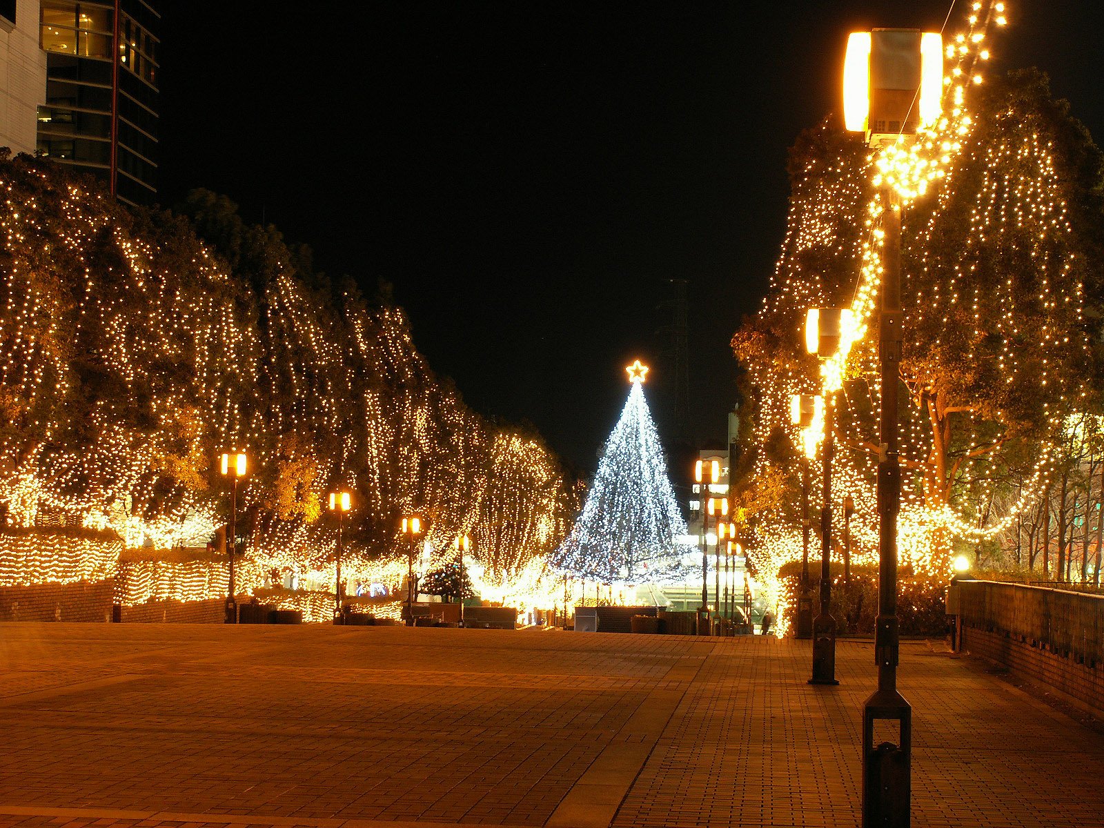 ciudad noche luces árbol de navidad amarillo