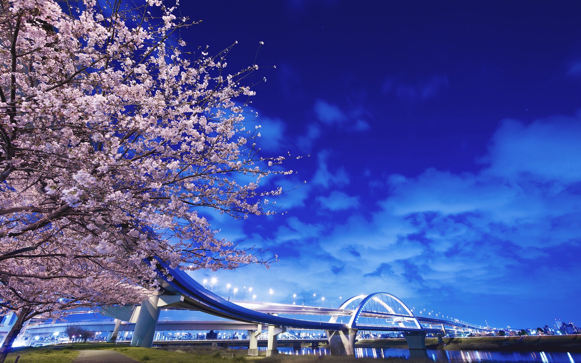 japón árbol puente río linternas