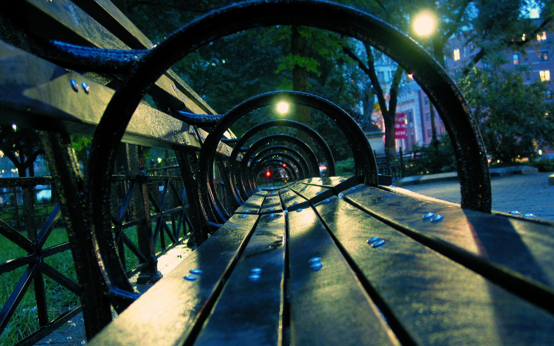 night street lamps bench after rain