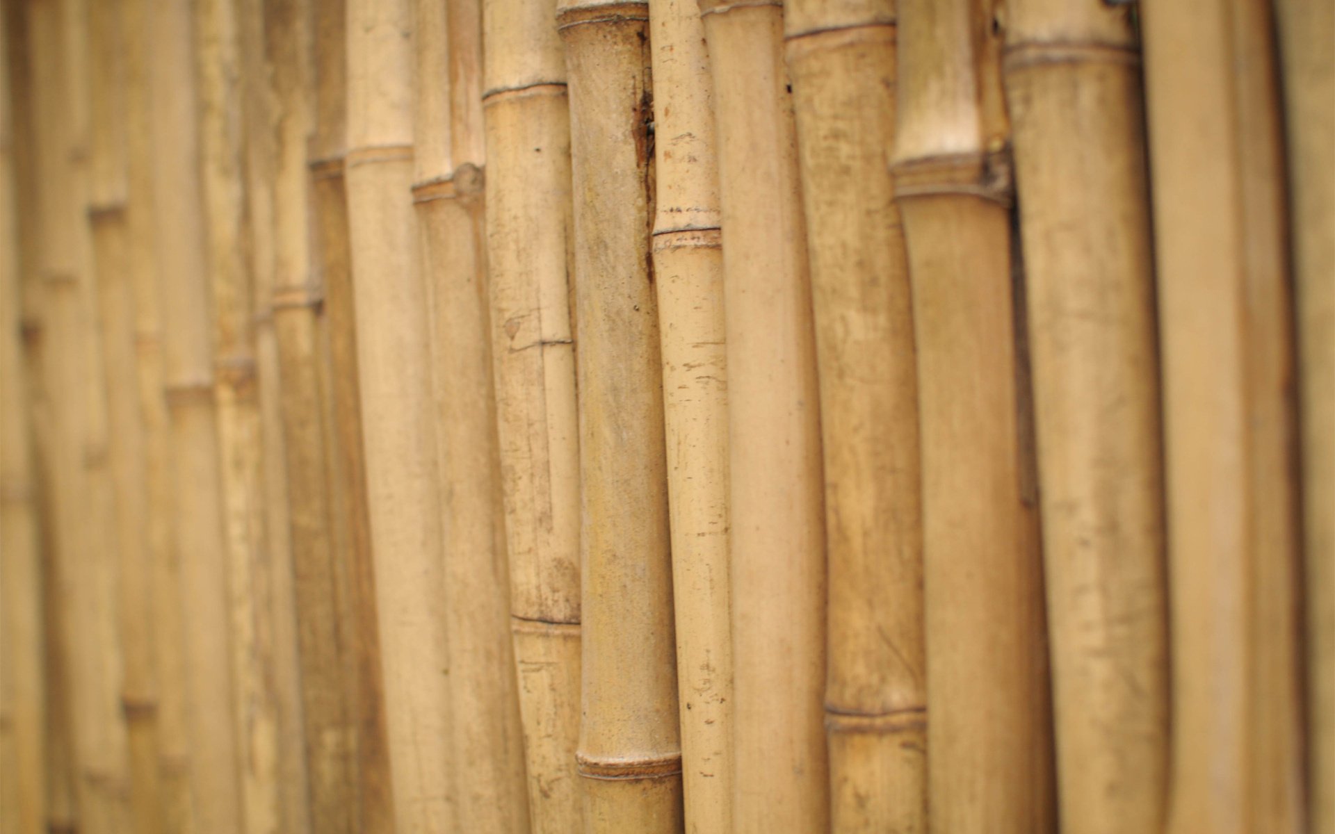 tems bamboo wood