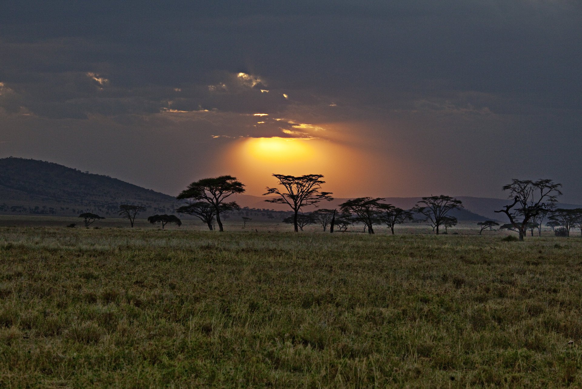 afrika kenia savanne sonnenuntergang